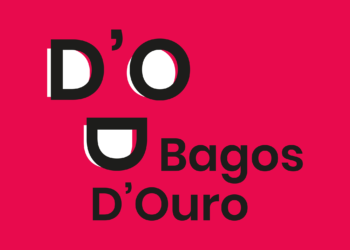 A BAGOS D’OURO PREMIADA COMO MELHOR ORGANIZAÇÃO DO ANO