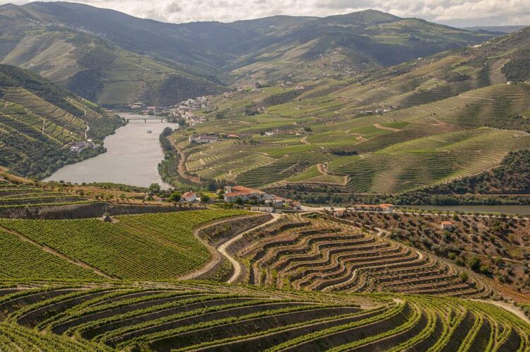 Douro apresenta candidatura conjunta a Cidade Europeia do Vinho