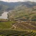 Douro apresenta candidatura conjunta a Cidade Europeia do Vinho