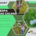 PENEDONO : PRAGA DA VESPA DAS GALHAS DO CASTANHEIRO “CONTROLADA”