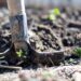 Viseu recebe “V Colóquio Nacional de Horticultura Biológica” nos dias 11 e 12 de Maio