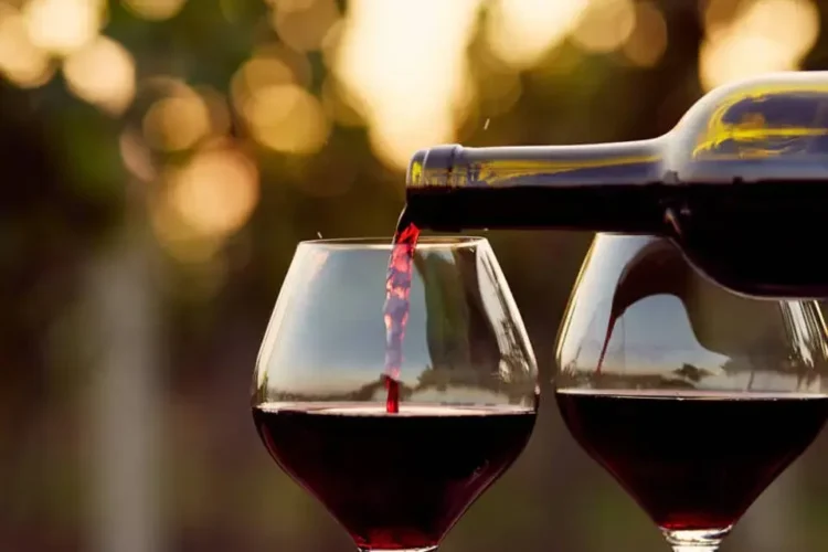 Produção de vinho em Portugal deve aumentar 8% na campanha de 2023/2024