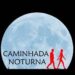 Tabuaço : Pinheiros organiza este sábado uma caminhada noturna