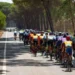 Viseu : Volta a Portugal em bicicleta condiciona trânsito esta quarta-feira