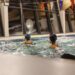 Armamar : Hidro Glow nas Piscinas Cobertas dia 3 de fevereiro